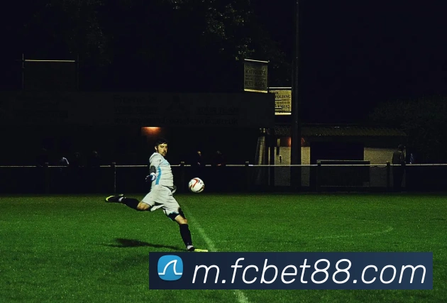 APP界面展示